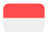 Language Flag